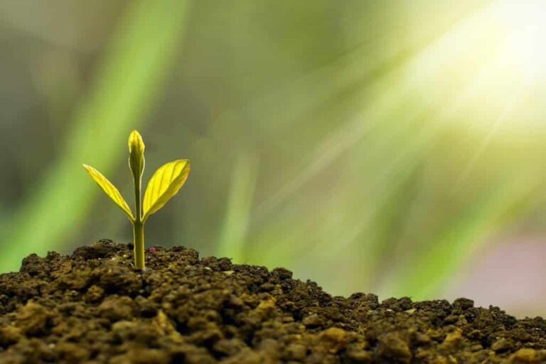 Implementasi ISO 14001 Akan Mendukung Pembangunan Keberlanjutan